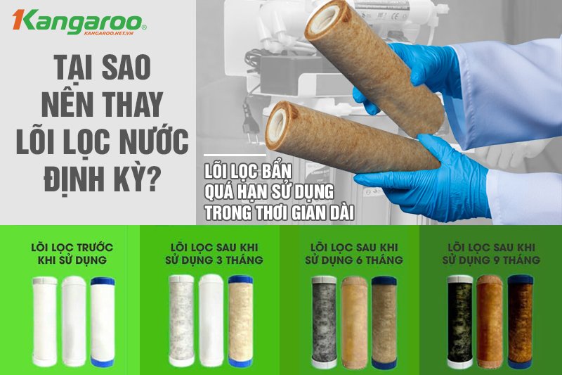 Tại sao cần phải thay lõi lọc nước Kangaroo định kỳ?